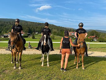 Reiturlaub im Bayerischen Wald